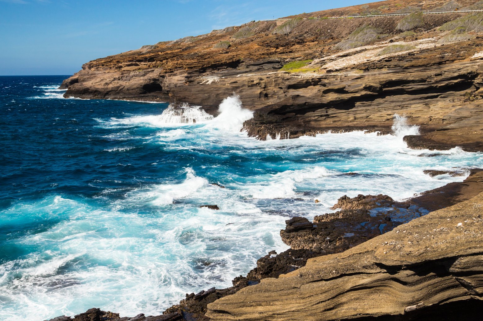 Halona Coastline