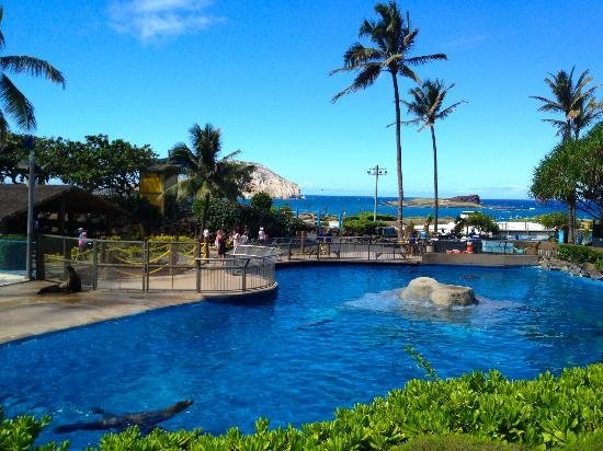 Sea-Life-Park-Oahu-Hawaii-1.jpg