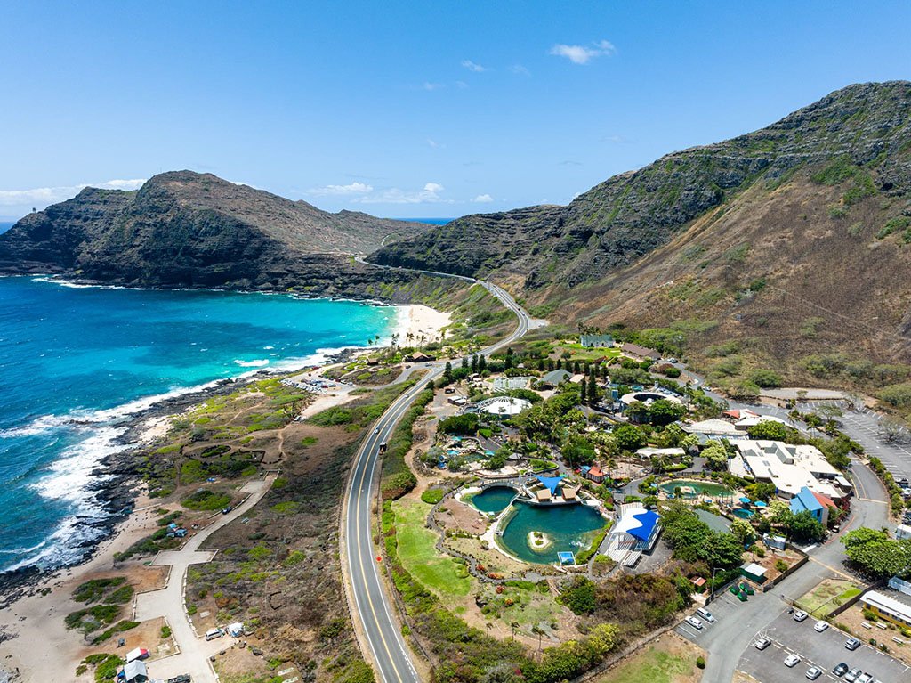 Sea-Life-Park-Oahu-Hawaii-2.jpg