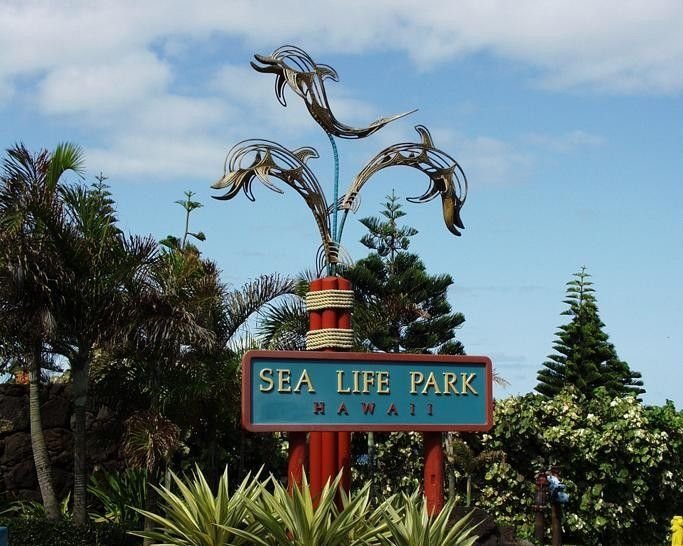 Sea-Life-Park-Oahu-Hawaii.jpg