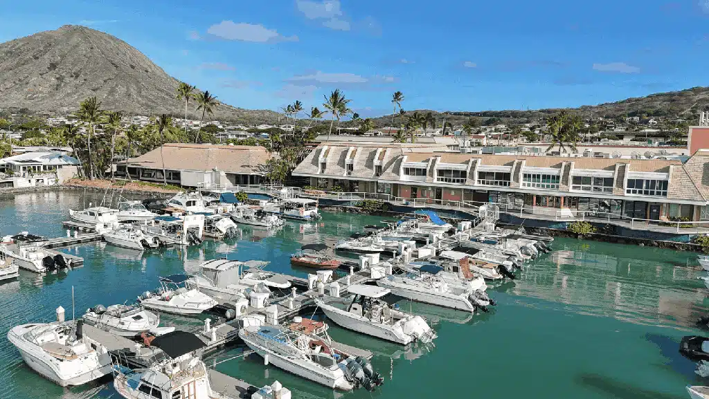 koko-marina-center-1.webp